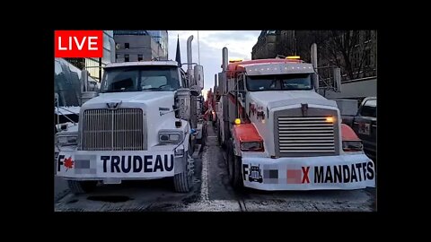 🔴 LIVE IN OTTAWA - CANADIAN TRUCKER FREEDOM CONVOY 2022 - DAY 7