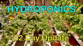 Hydroponics Day 52 Update