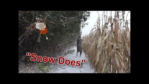 Public Land Whitetail Deer Hunting | "Snow Does" Ep. 9 | Wisconsin