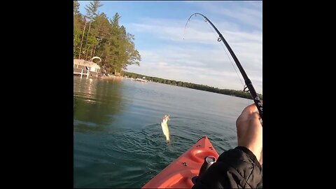 Smallmouth Bass in a Kayak