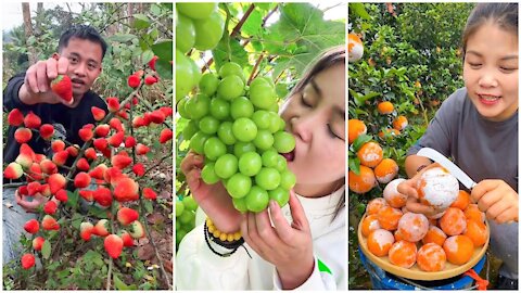 People's life, Eating Fruit, Beautiful Fruit Garden Ep01