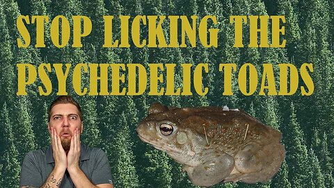 STOP LICKING THE TOADS !!!!!