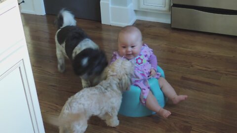 Babies And Puppies