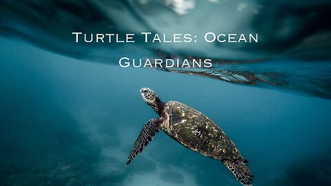 🐢🌊 Discover Sea Turtles' Traits, 🌏⚡ Dive into Conservation Efforts!