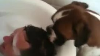 Dog Gives Owner The Greatest Hair Salon Experience