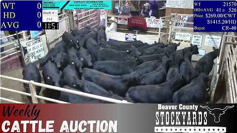 10/24/2023 - Beaver County Stockyards Livestock Auction
