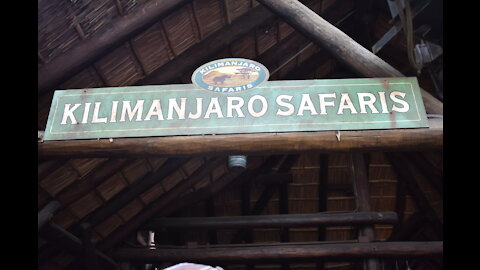 Ride on the Kilimanjaro Safari at Disney's Animal Kingdom