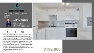 Lake View Condo For Sale - 3930 N Pine Grove #2812