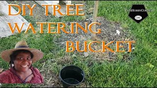 DIY Tree Watering Method - 7jun22