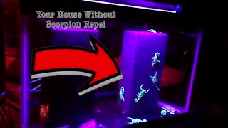 Scorpion Repel is a new way of keeping scorpions from entering your home