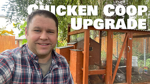 I Built the Most Convenient Backyard Chicken Coop