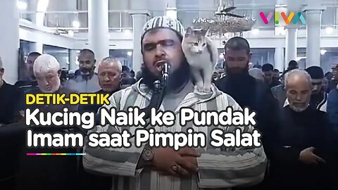 SEJUK! Reaksi Imam Salat Tarawih saat Kucing Loncat dan Ciumi Dirinya