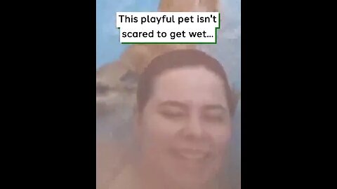 Little Dog Loves Waterslide #viralclips #viralvideos