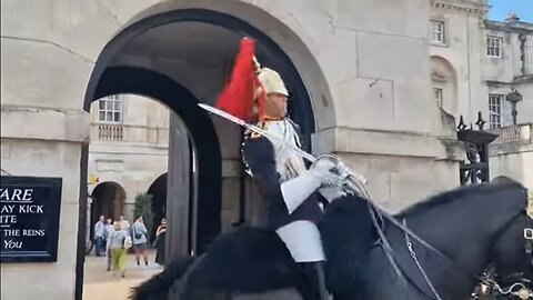 Corporal and kings guard check over the horse it settle down #horseguardsparade