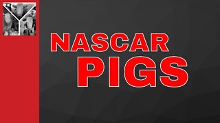 Nascar Pigs