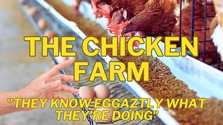 The Chicken Farm - They Know Eggaztly What They Are Doing