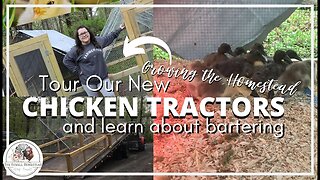 TOUR our PASTURE Ranging CHICKEN Tractors | BARTER for the Things You Need!