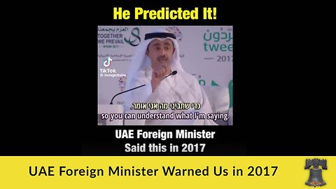 UAE Foreign Minister Warned Us in 2017