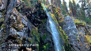 Three Rustic Log Bridge Creek Crossings & Strawberry Falls! | Wilderness Malheur Eastern Oregon | 4K