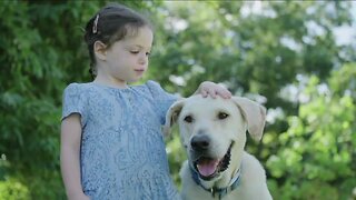 Veterinarian gives tips for those considering pet adoption during stay at home order