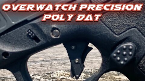 OverWatch Precision Poly Dat in a Palmetto State Armory Dagger Compact