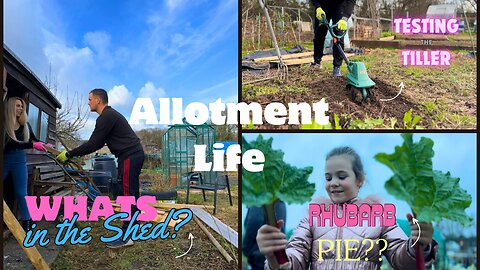 ALLOTMENT LIFE | What’s in our shed ? | we test our new TILLER |