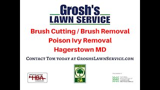 Brush Cutting Hagerstown MD Brush Removal Landscaping Contractor