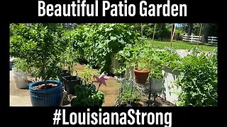 Beautiful patio garden in West Monroe, LA - Raleigh Jones