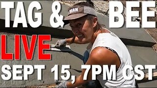 TAG & BEE LIVE