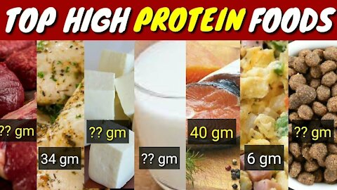 Top 10 High protein Foods