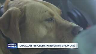 New law allows firefighters & emergency responders to rescue pets from hot cars