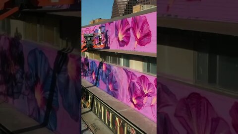 Artist Emily Ding paints morning glories #mural at the Plaza Parkway Building in Kansas City, MO