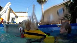 Menino autista perde medo de água com ajuda de um cão