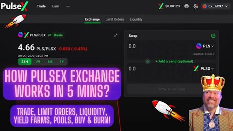 How PulseX Exchange Works In 5 Mins? Trade, Limit Orders, Liquidity, Yield Farms, Pools, Buy & Burn!