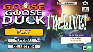 Let's Get A Little Goosey | Goose Goose Duck