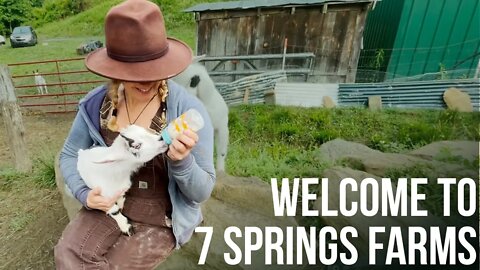 Welcome to 7 Springs Farm | ON Three