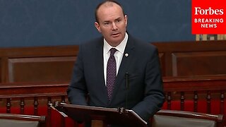 Mike Lee Torches Schumer For 'Shameless Effort To Sidestep Our Constitutional Duty' On Mayorkas