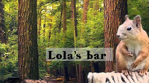 Lola’s bar
