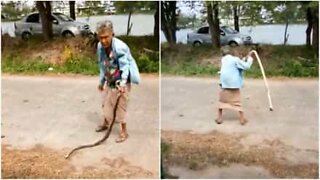 Bedstemor slår slange ihjel med de bare næver