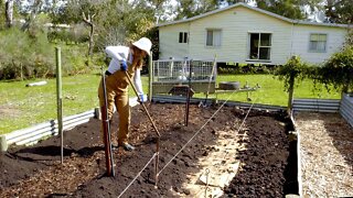 Building a No Dig Garden (plus Hugelkultur bed and potatoes in bags) - Free Range Homestead Ep 21