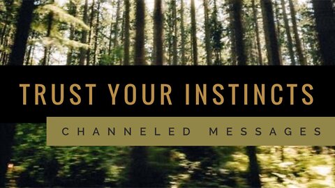 🔮🌟 Timeless Tarot Reading Channeled Message 🔮🌟 Trust Your Instincts - Collective Tarot