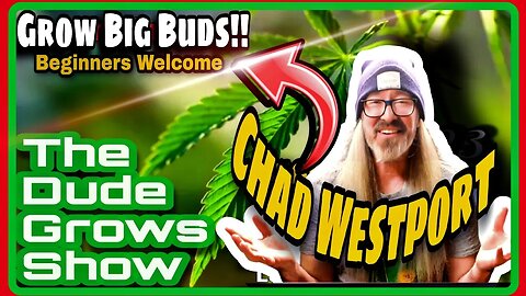 How To Grow Dense Buds, Cannabis From Seed to Harvest - w/ Chad Westport - The Dude Grows Show 1,435