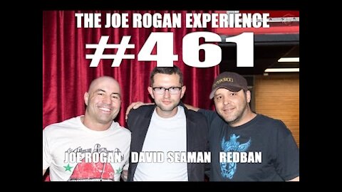 Joe Rogan Experience #461 - David Seaman