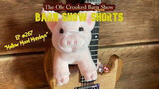 "Barn Show Shorts " Ep. #267 “Mellow Mood Mondays”