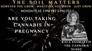 Are You Taking Cannabis In Pregnancy