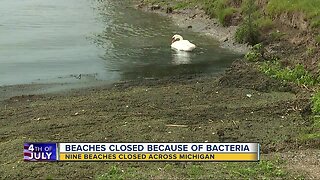 Beaches closed because of bacteria in Michigan