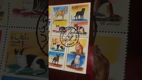 Really Cool Arabic Stamp Set