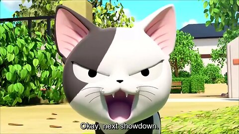 Chi #Series #9 ~ Chi Showdown ll first time meet Kochi ll #Cute #Cat #Chi #episode Road to #1000Subs