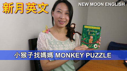 英文繪本故事 STORY BOOK : 小猴子找媽媽 MONKEY PUZZLE
