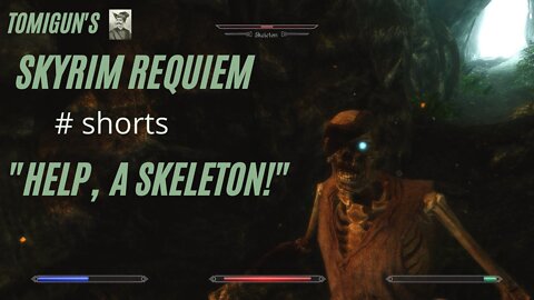 Help, a Skeleton! (Skyrim Requiem)